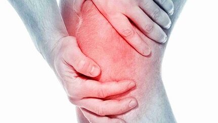 Knee joint